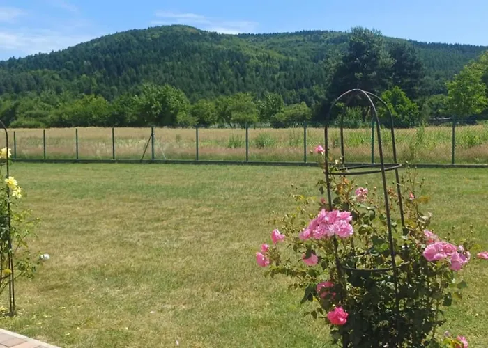 بيت ضيافة Noclegi Jaroszowice *