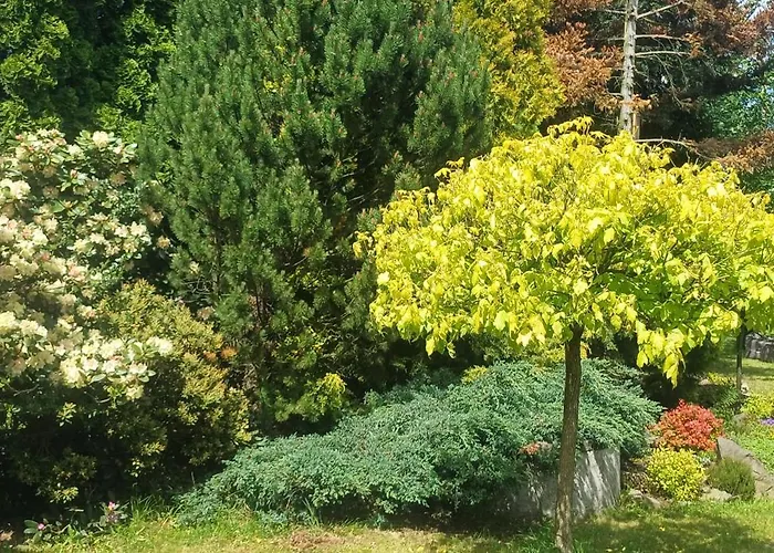 Pensjonat Noclegi Jaroszowice *