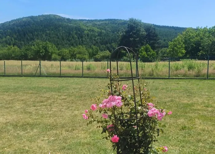 Noclegi Jaroszowice Pensjonat