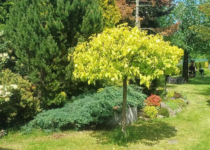 Noclegi Jaroszowice *